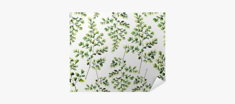 Watercolor Seamless Pattern With Maidenhair Fern Leaves - Japanese Noren Doorway Curtain Tapestry With Summer, transparent png download