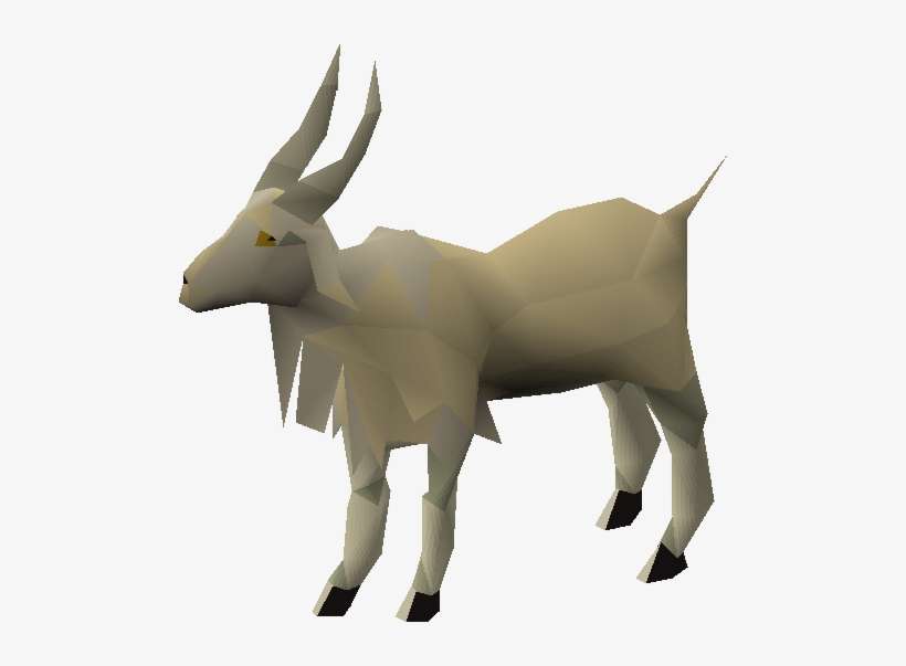 Mountain Goat - Mountain Goat Png, transparent png download