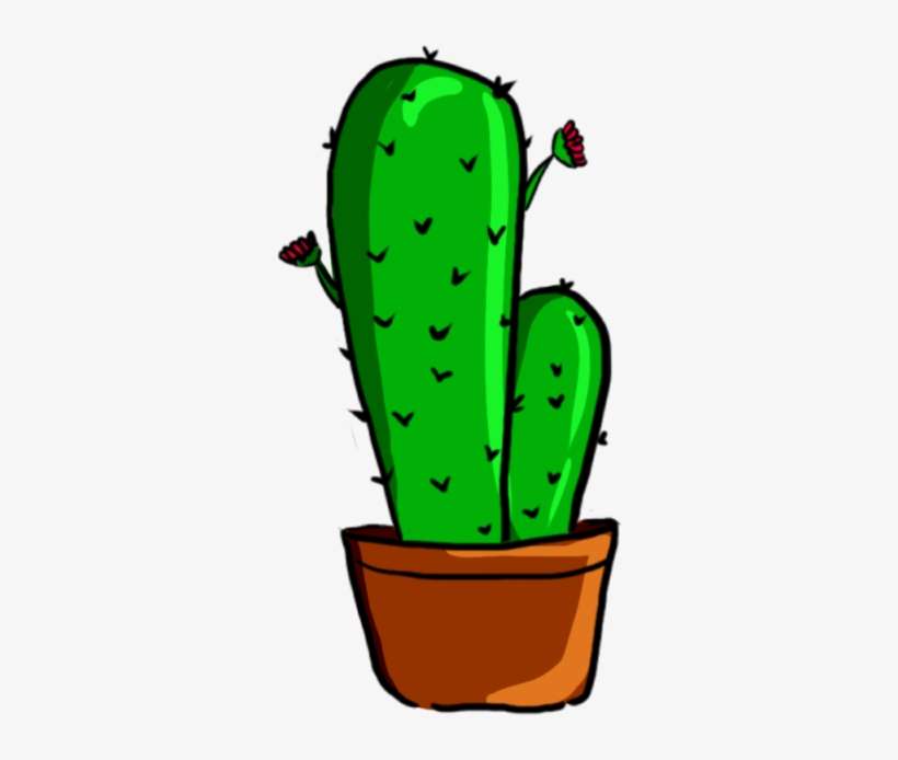 Cactus, Green, Plant Png And Psd - ต้น กระบองเพชร Png, transparent png download