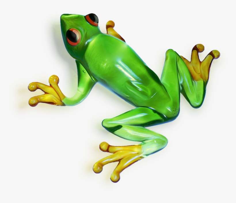 Download Amazing High-quality Latest Png Images Transparent - Transparent Background Frog Transparent, transparent png download