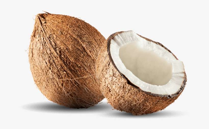 Coconut Png File Download Free - Coconut Png, transparent png download