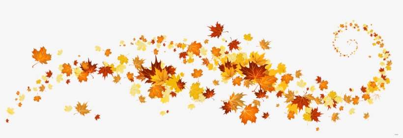 Autumn Leaf Color Clip Art - Fall Clipart, transparent png download
