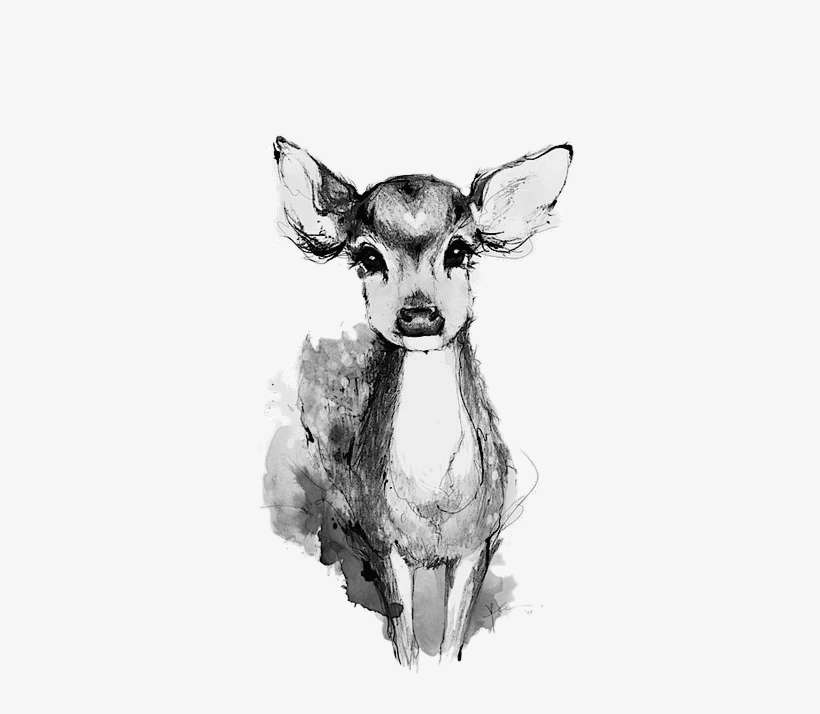 Late Nigts, Red Eyes, Amnesia - Watercolor Deer Drawing, transparent png download