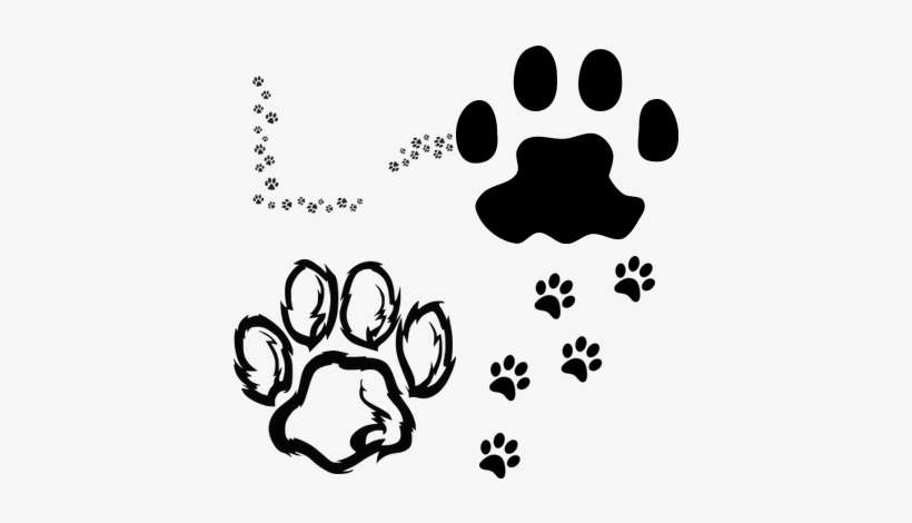 Wildcat Paw Png, transparent png download