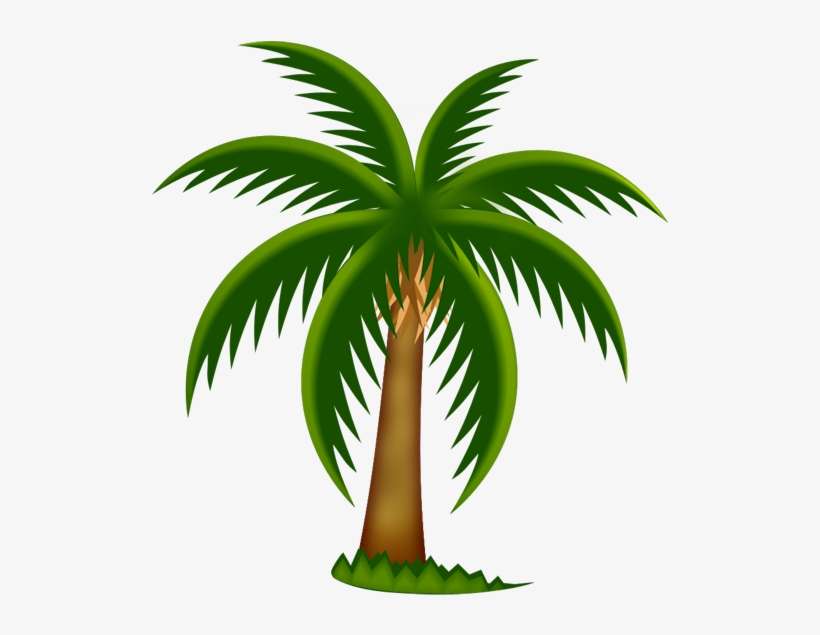 Painted Palm Tree Png Clipartu200b Gallery Yopriceville - Date Tree Clip Art, transparent png download