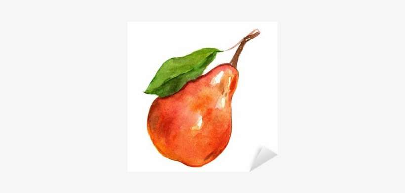 Watercolor Birne, transparent png download