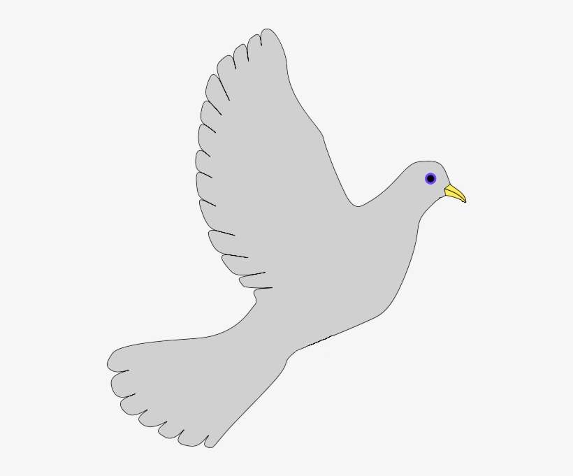 239 × 240 Pixels - Grey Dove Png, transparent png download