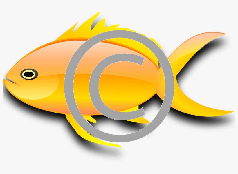 Goldfish - Png - Gold Fish Clip Art, transparent png download