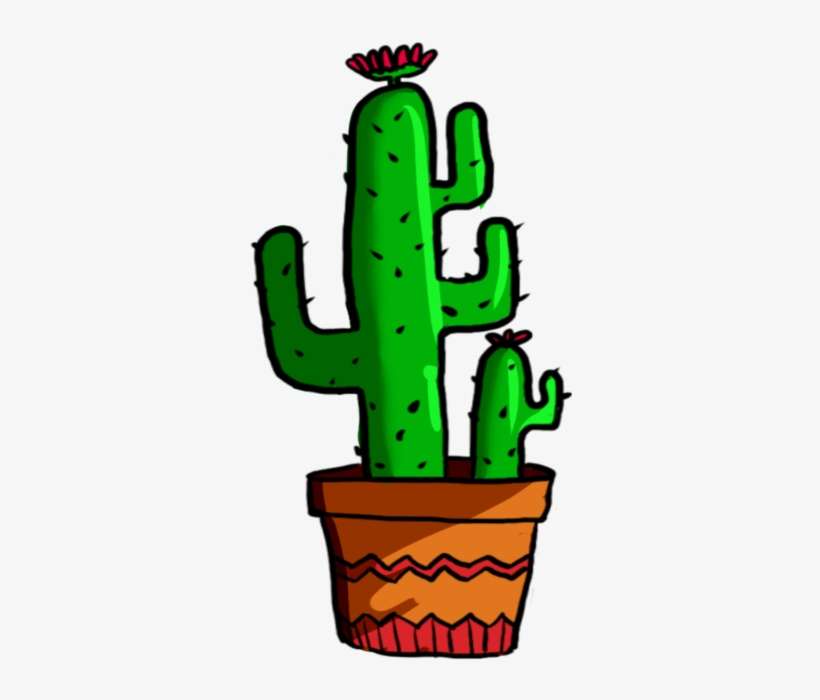 Cactus, Green, Plant Png And Psd - Download, transparent png download