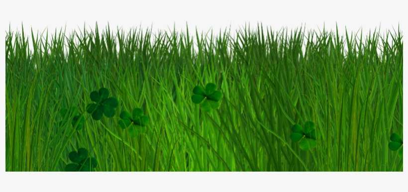 Green Grass And Clover Border With Transparent Background - Green Grass Transparent Background, transparent png download