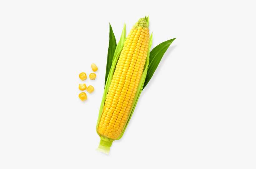 Sweet Corn Png File - Corn Png, transparent png download