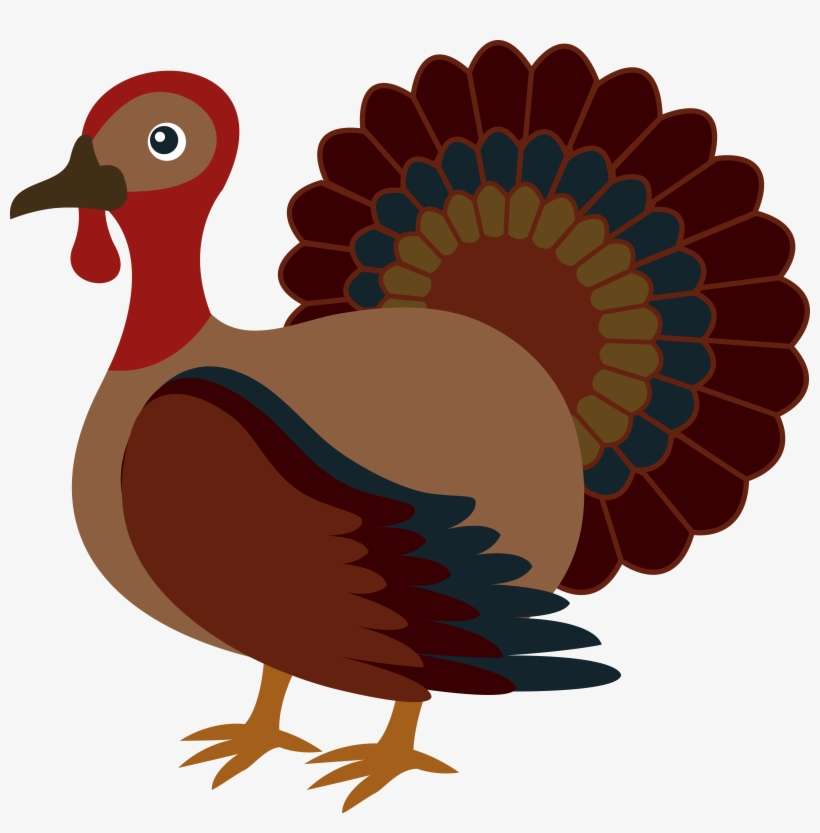 Download For Free - Turkey Clipart, transparent png download