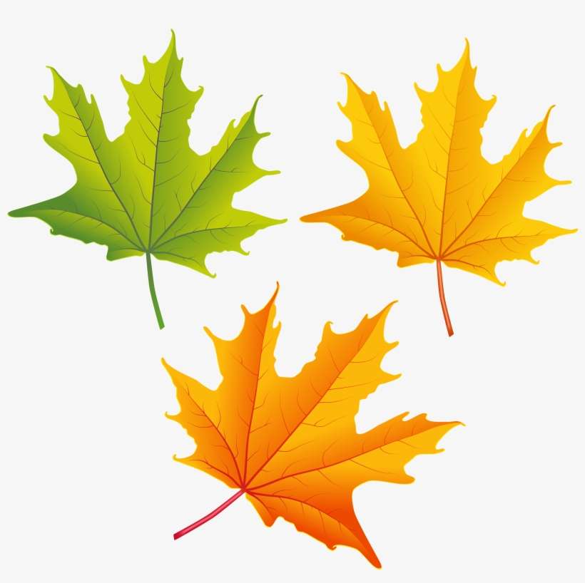 Autumn Leaf Clipart Png, transparent png download