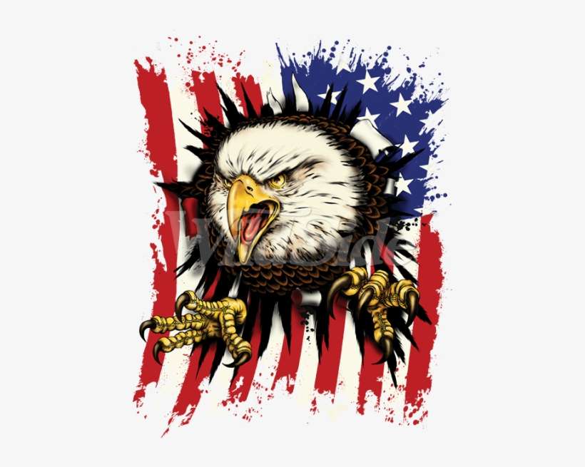 American Flag Eagle Png Clipart Stock - Adler, Die Rippen Durch Die Amerikanische Flagge -, transparent png download