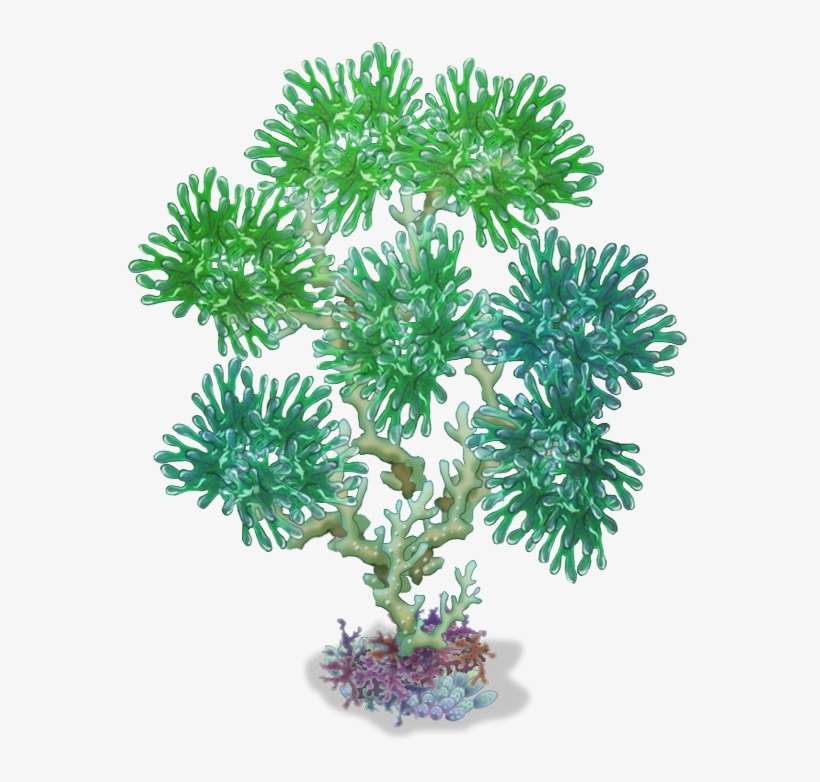 Water Island Big Tree - Imagen Png Transparente Coral, transparent png download