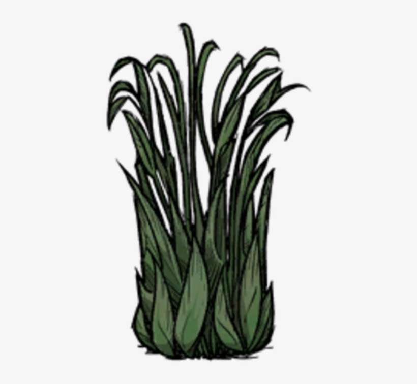 Juicy Berry Bush Picked - Video Game, transparent png download