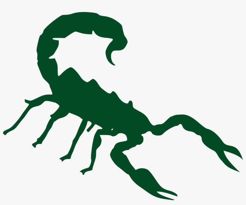 Clip Art Download Silhouette Black Insect Free Image - Scorpion Silhouette No Background, transparent png download