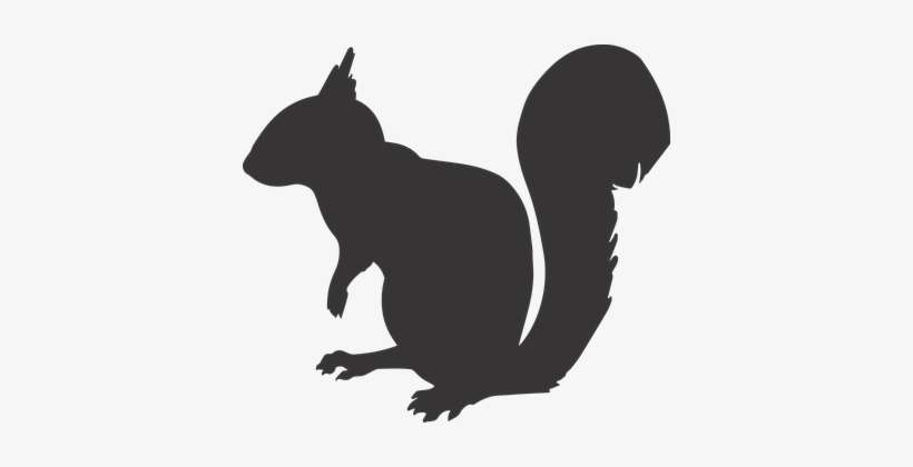 Squirrel Silhouette Animal Mammal Rodent N - Squirrel Silhouette Png, transparent png download