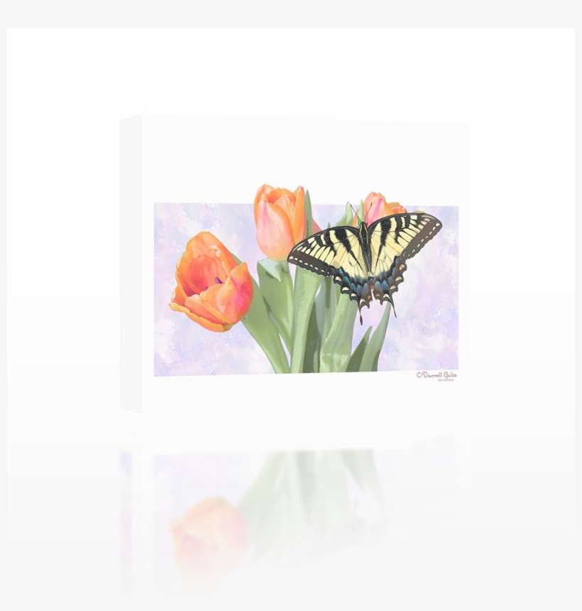 Butterfly On Flowers - Oriental Poppy, transparent png download