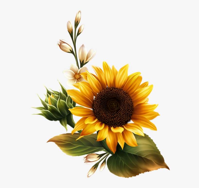 Sunflower Flag Clipart, transparent png download