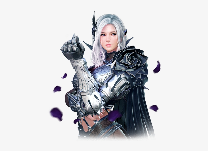 Promotion On Our Social Media, Twitch And Youtube Channels - Black Desert Online Transparent, transparent png download