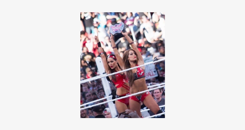 Brie Bella, transparent png download