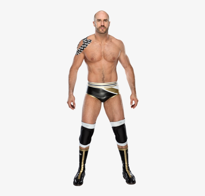 Cesaro - Man Dressed As Pig, transparent png download