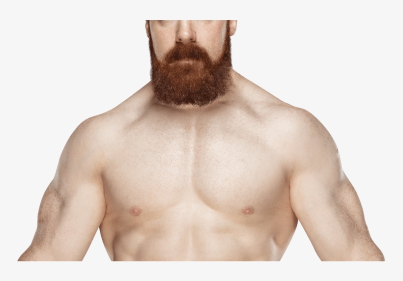 Sheamus 2017 New Png By Ambriegnsasylum16 On Deviantart - Sheamus Wwe Champion Png, transparent png download
