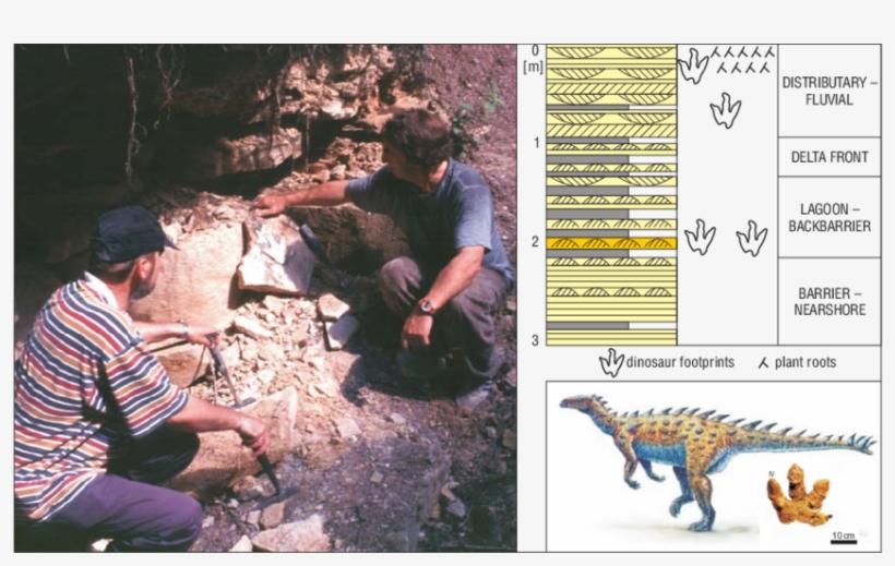 Gliniany Las Site This Humble, Small Quarry Exposing - Tyrannosaurus, transparent png download
