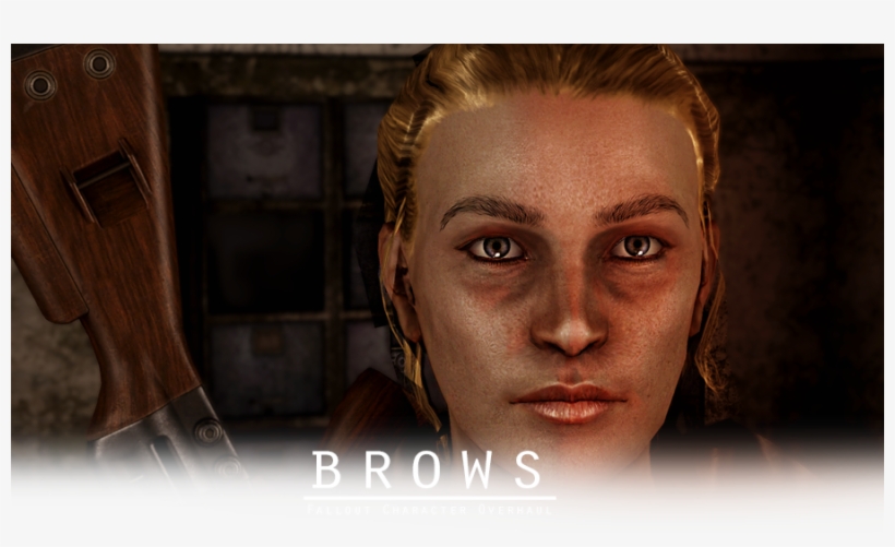 Both Straight Donations And Premium Membership Donations - Fallout New Vegas Eyebrows, transparent png download