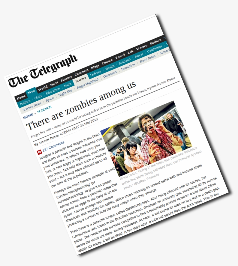 Moral Volcano Erupts Again - Telegraph All New Quick Crosswords 5, transparent png download