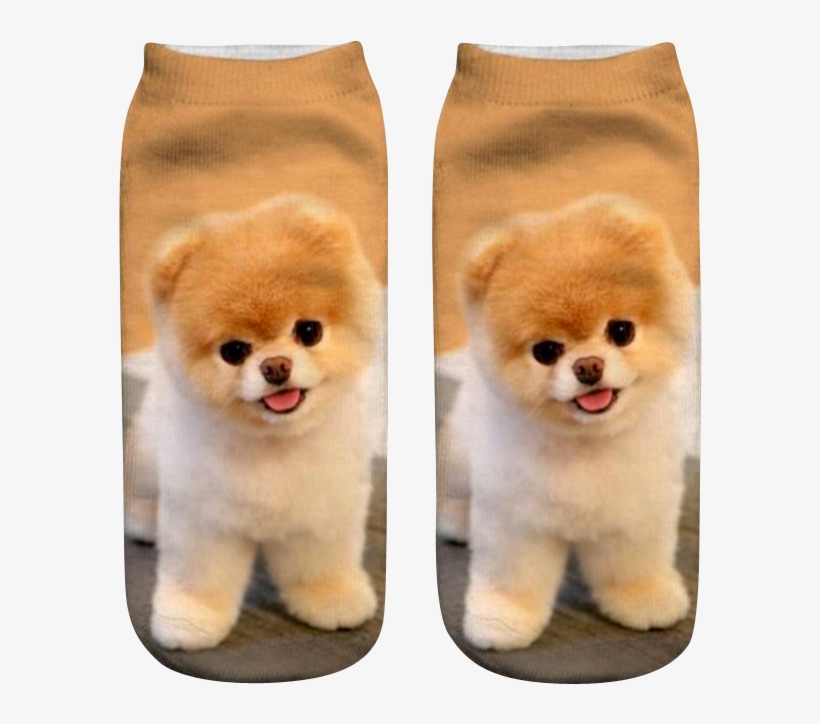 Dogsocks, transparent png download