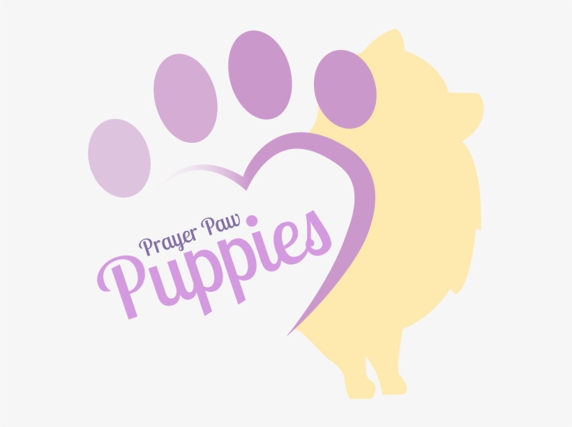 White & Black Pomeranian Puppies For Sale By Breeder - Puppy For Sale Logo, transparent png download
