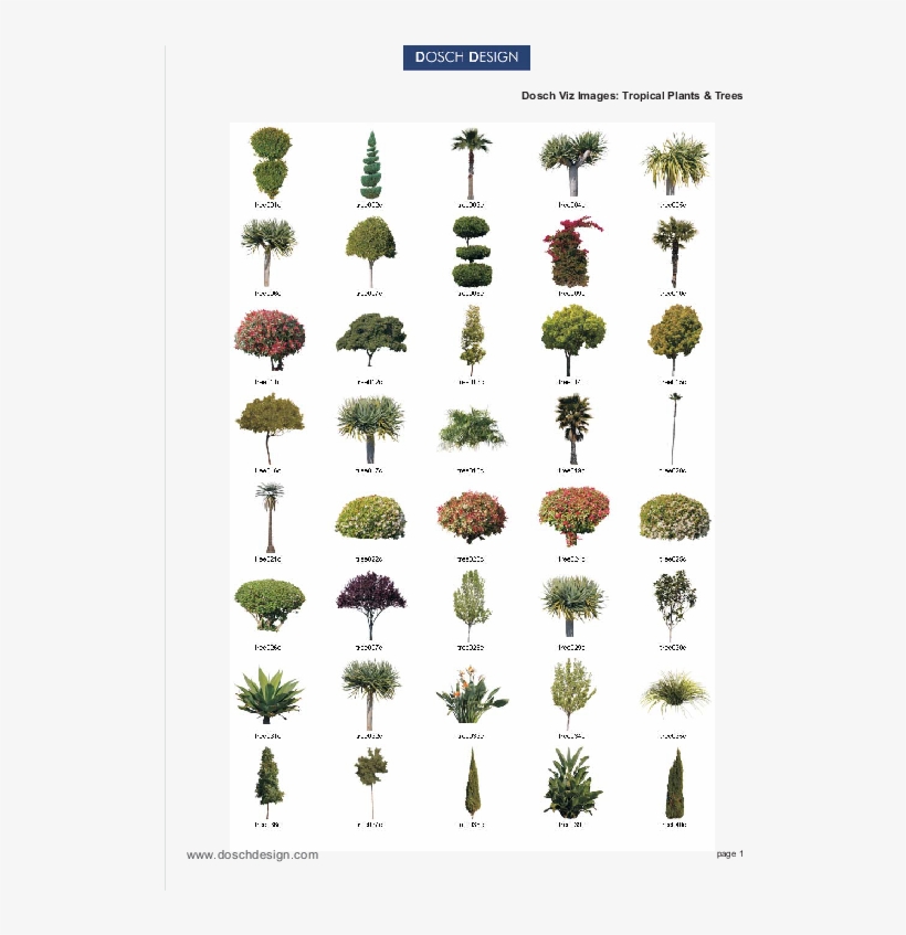 Attractive Quantity Discounts Up To 20% Are Displayed - Tropical Vegetation, transparent png download