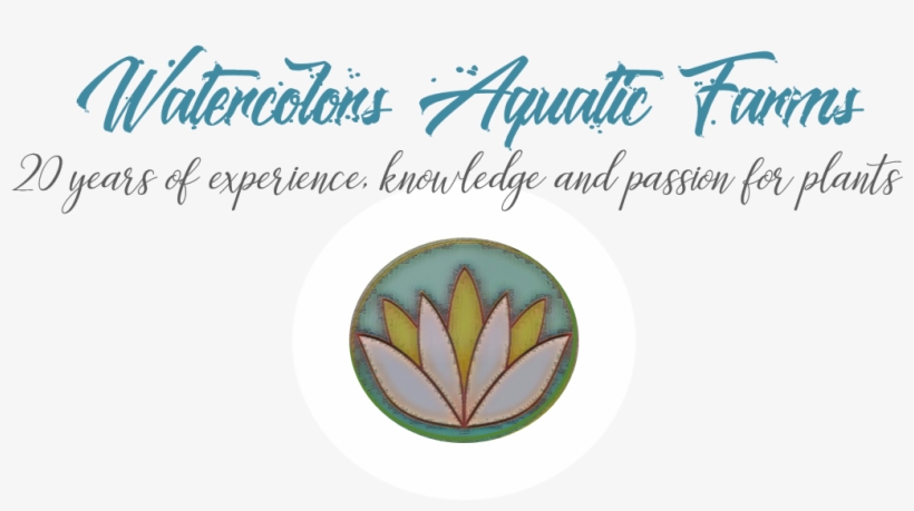 Landing - Calligraphy, transparent png download