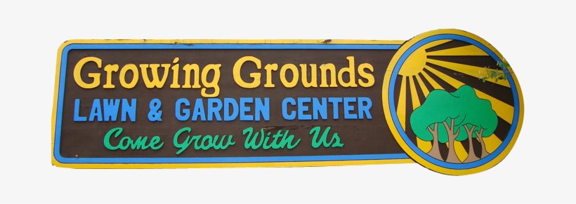 Tropical Plants - Portable Network Graphics, transparent png download