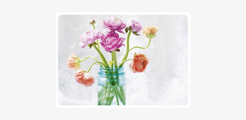 Persian Buttercup, transparent png download