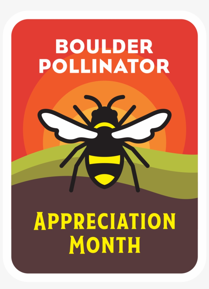 Honeybee, transparent png download