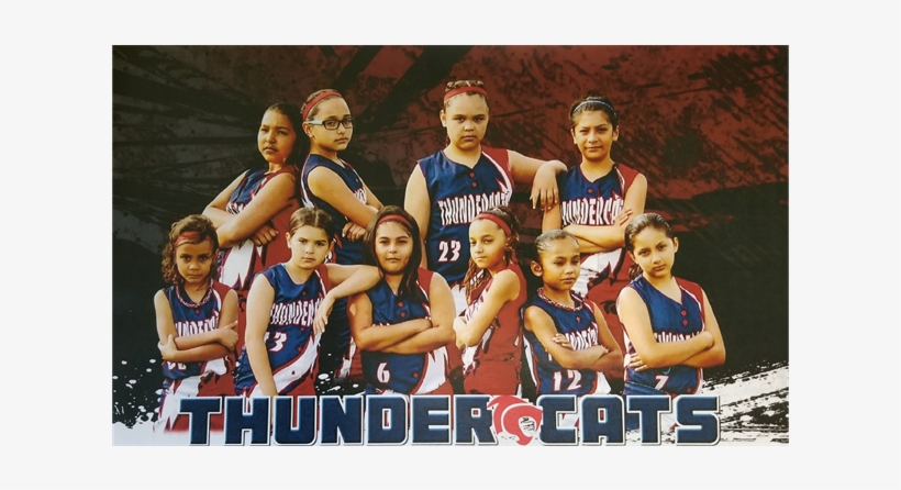 Attitude - Thundercats Horner Park Softball, transparent png download