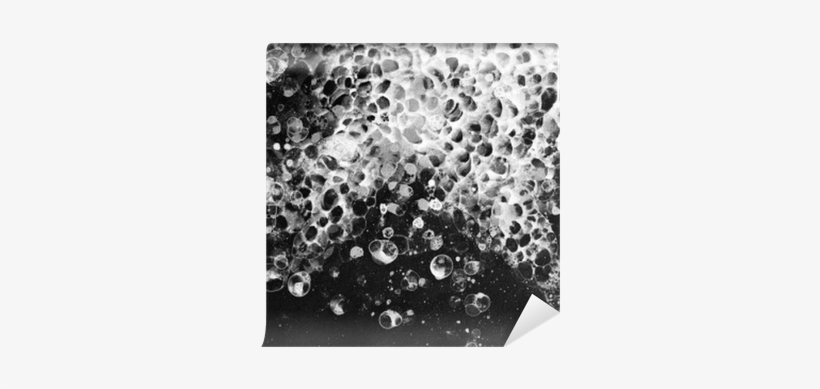 Bubbles Watercolor Black White Froth Wall Mural • Pixers® - Watercolor Painting, transparent png download
