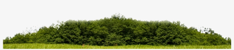 Skyline On Brickell - Grass, transparent png download