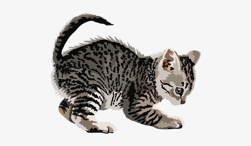 Cat Art, Stickers Messages Sticker-2 - Cat, transparent png download
