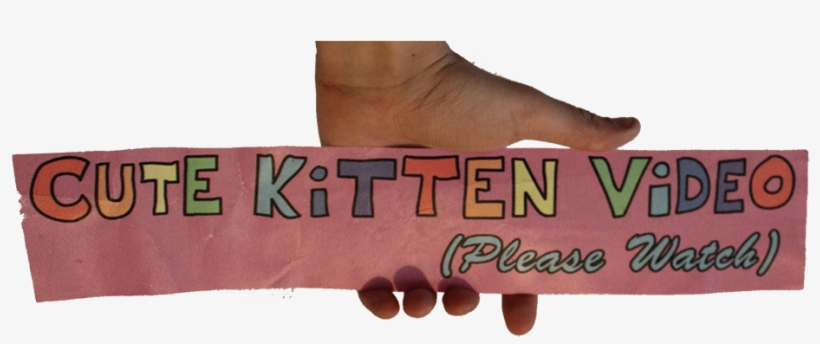 Kitten, transparent png download