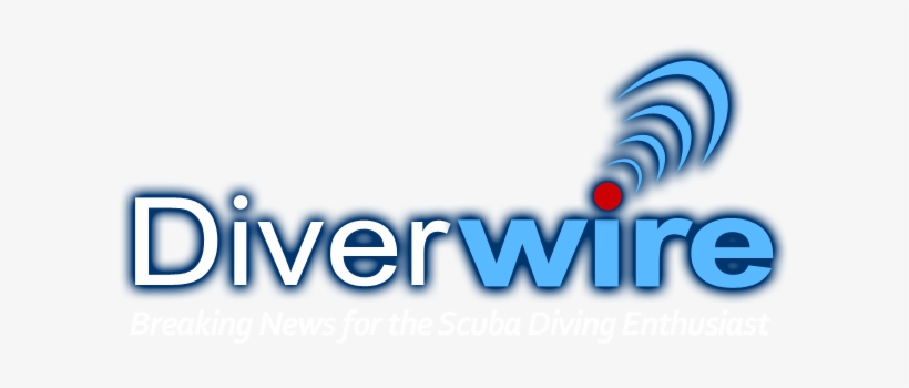 Logo - Scuba Diving, transparent png download