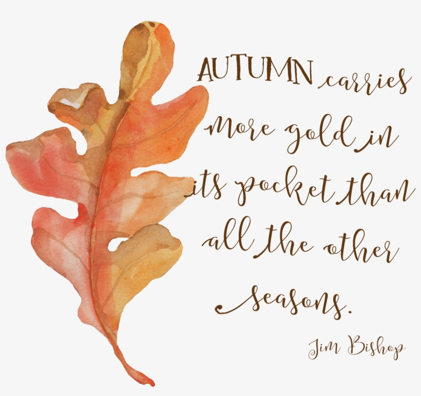 This Large Wall Calendar Is Of High Quality Textured - Gambel Oak, transparent png download