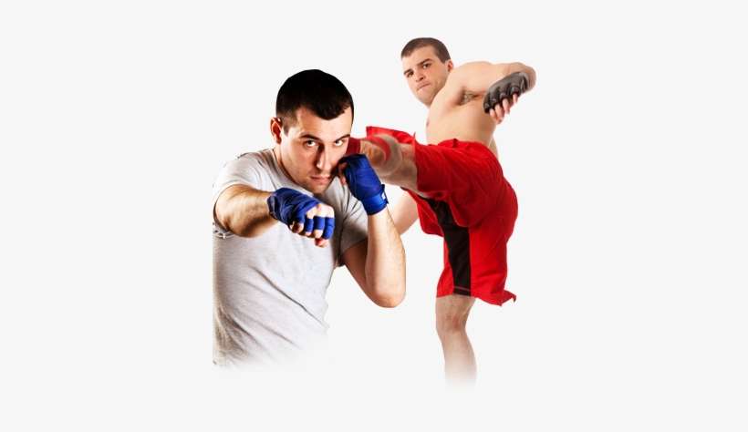 Mixed Martial Arts Png High-quality Image - Mixed Martial Art Png, transparent png download
