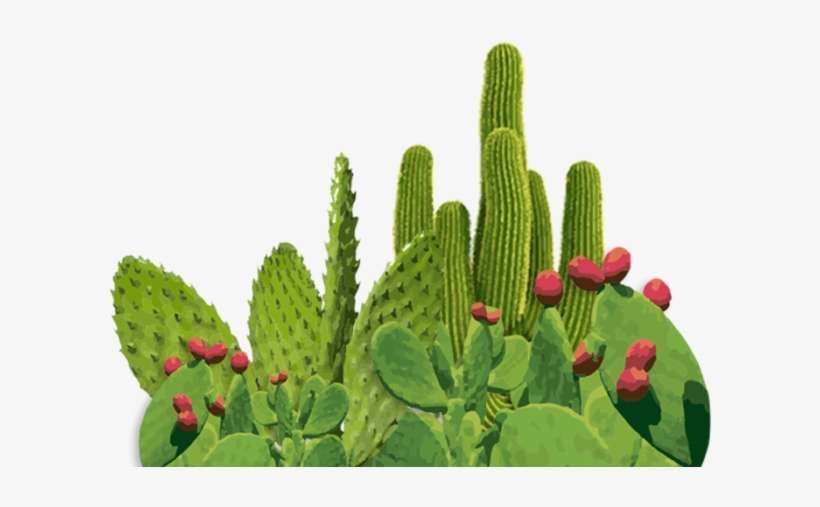 Servicios Publicidad Kaktus - Advertising, transparent png download