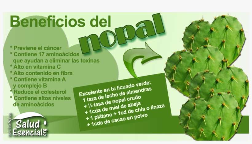 Carolina Rocha Menocal Salio Rumbo A Tlalnepantla Morelos - Planta De Tuna Para Que Sirve, transparent png download