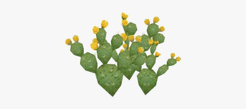 Beavertail4 - Eastern Prickly Pear, transparent png download