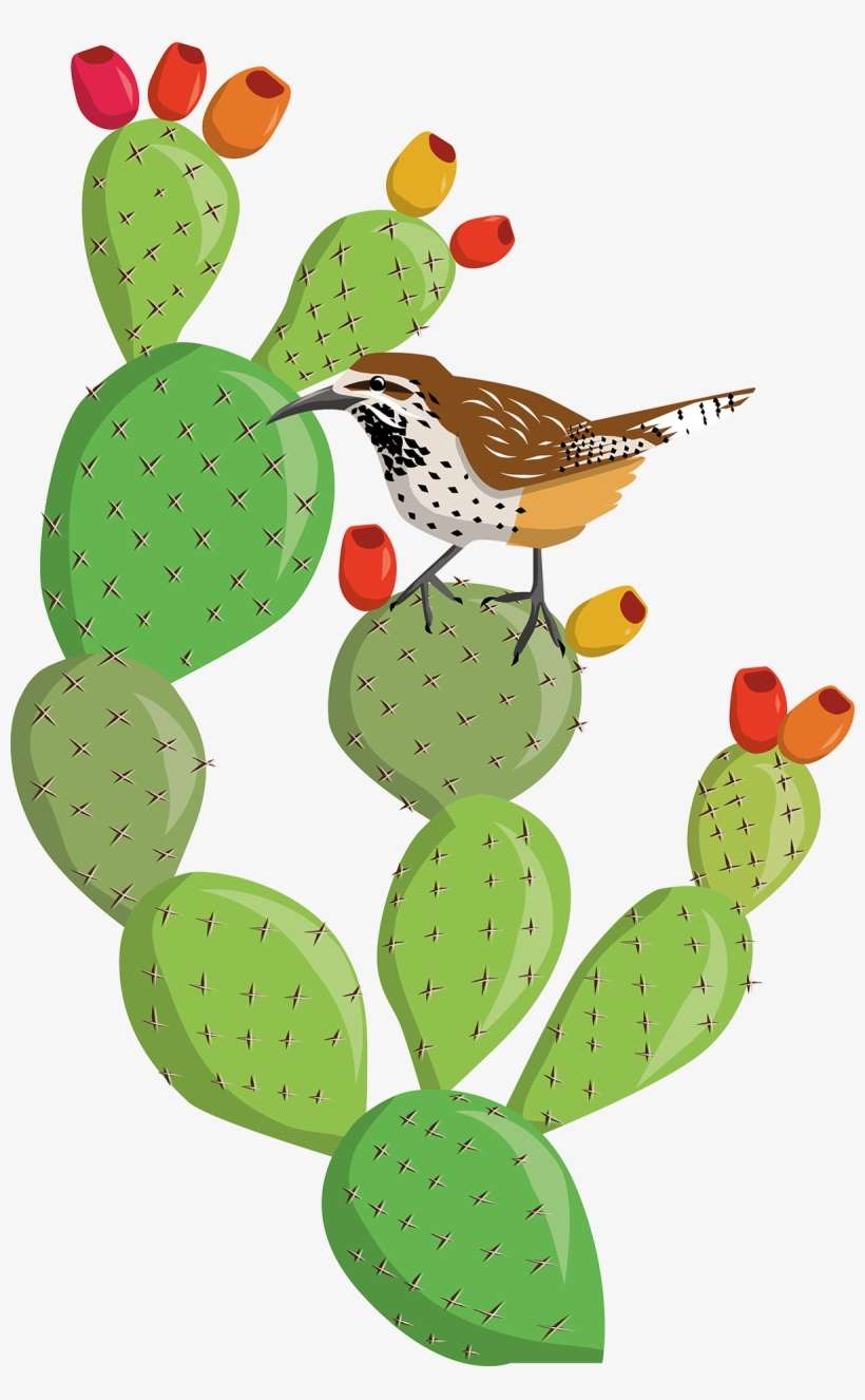 Desert Prickly Pear, transparent png download